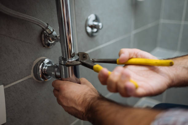 Best Toilet Repair Services  in Three Oaks, FL